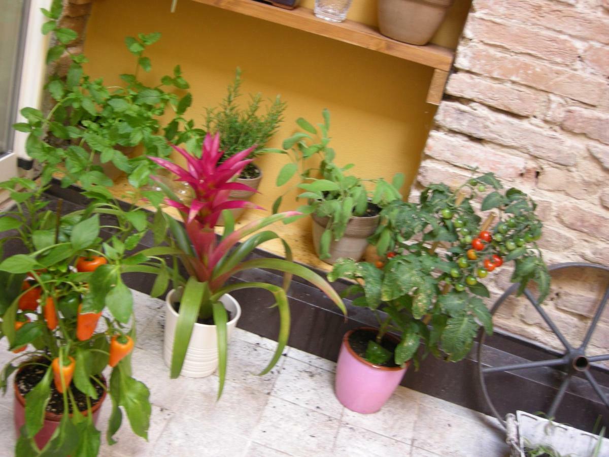 Apartmán Terrazza Petroni Boloňa Exteriér fotografie